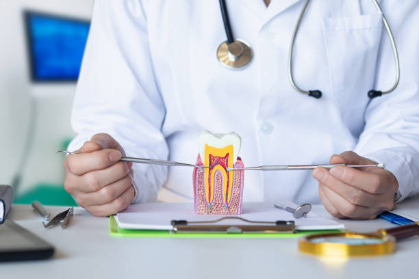 Best Weekend Emergency Dental Services in Pontotoc, MS